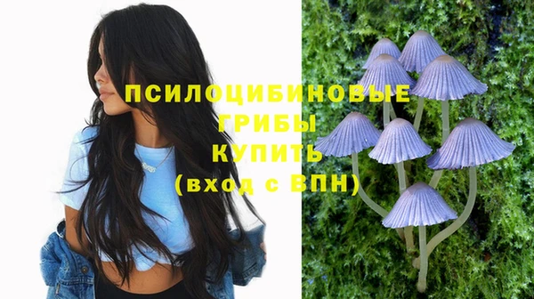 дмт Михайловск