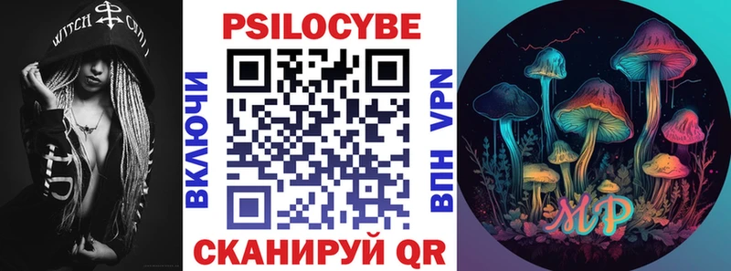 Купить  Каменка  Галлюциногенные грибы Psilocybine cubensis 